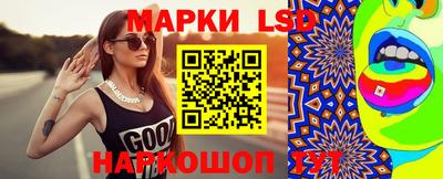 прущие крисы Будённовск