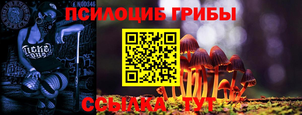 Галлюциногенные грибы Psilocybine cubensis  Псилоцибиновые грибы мухоморы  Петрозаводск  Вход с VPN 